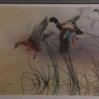 Ducks Unlimited - Signed/Numbered