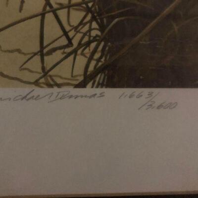 Ducks Unlimited - Signed/Numbered