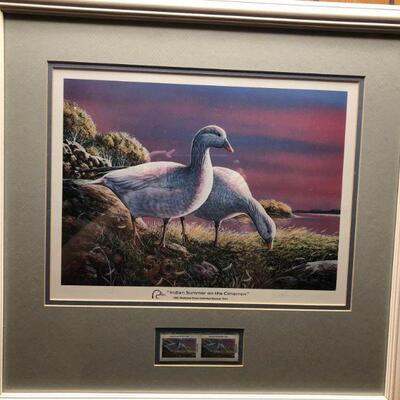 Rare Ducks Unlimited Stamps