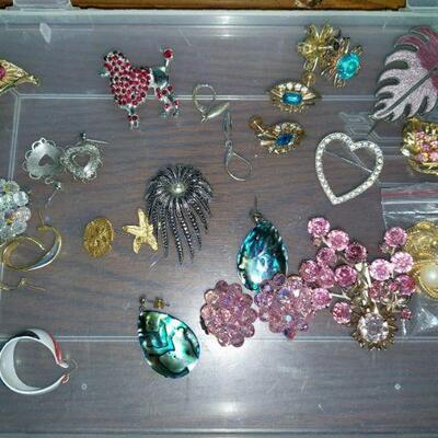 Earrings and pins 