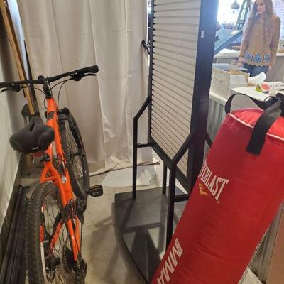 trek mountain bike & punching bag