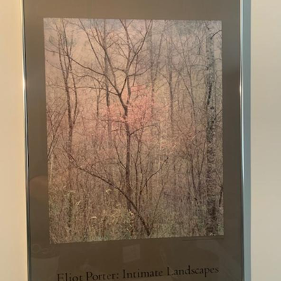 Eliot Porter - Intimate Landscapes poster from Metropolitan Museum of Art NY
