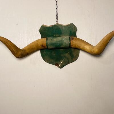 Early Cow Horns