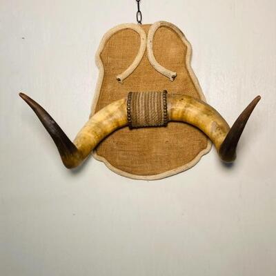 Early Cow Horns