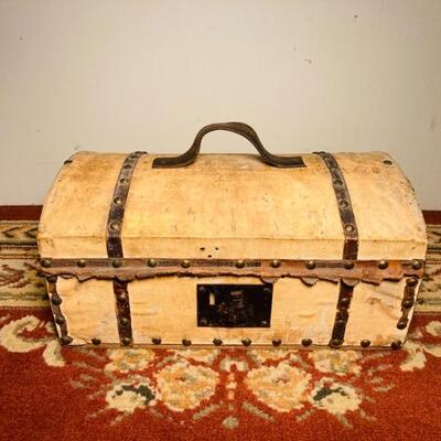 Hide Covered Trunk