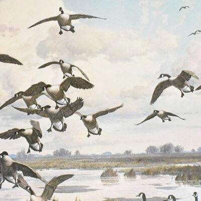 Harry Adamson Signed and Numbered Framed Artwork