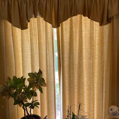 Drapes for sale
