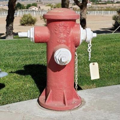 #1060 â€¢ Fire Hydrant: Measures Approx: 22