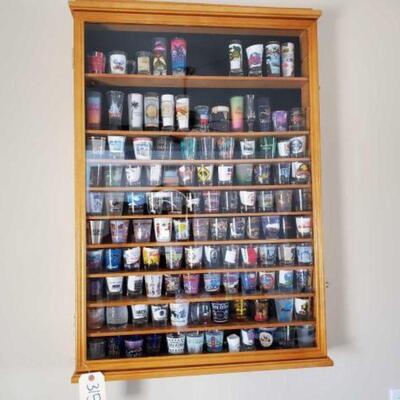 #3156 • Shot Glass Collection And Hanging Case  Case Measures Approx: 25.5