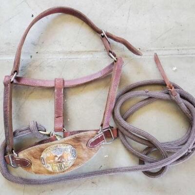 #1172 â€¢ Horse Halter with Lead Measures Approx: 130