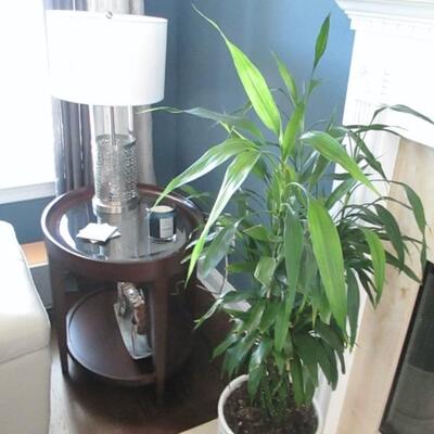 Raymour & Flanigan Accent Tables ~ Plants 