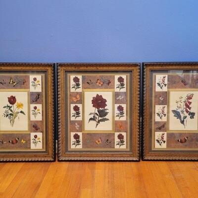 Trio of Framed Botanical Giclee Prints