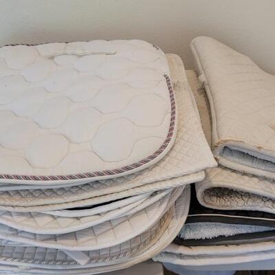 (12) Horse Pads: 8- Quilted, 4- w/ Inside Blankets