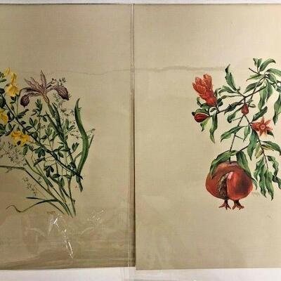https://www.ebay.com/itm/125329697276	OL7043 Plant Lore of Shakespeare Rosa M. Towne Prints 		Auction	begins 05/27/2022 after 6 PM
