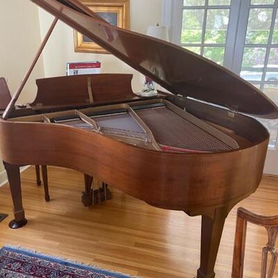 1981 Steinway & Sons Grand Piano  Pristine condition 