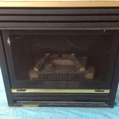 Natural Gas Insert Fire Place