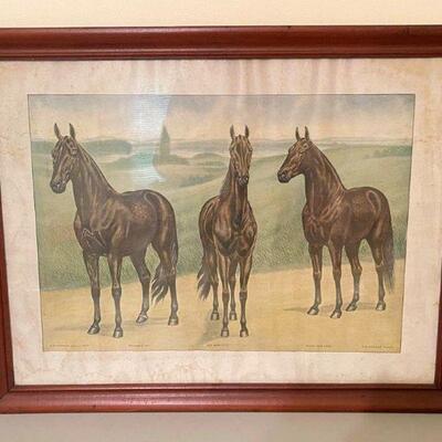 From Meadow Stables, Doswell, VA
