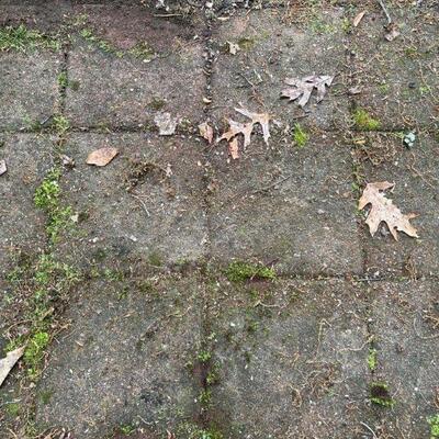 Patio Pavers