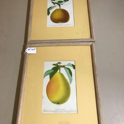 Fabulous Botanical Lithos 