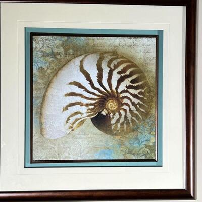 (4pc) SHELL ART | Framed prints of marine studies, including shells and a nautilus, each signed in the print and float mounted floating...
