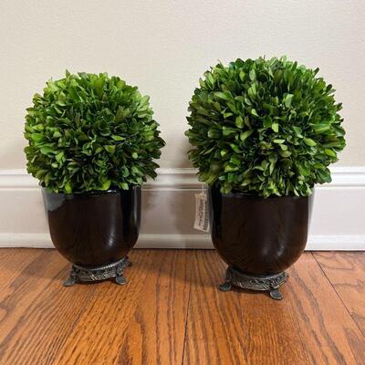 PAIR TOPIARIES | Two boxwood balls in black metal-footed planters, all with Greenwich Orchids labels; h. 10-1/2 in.