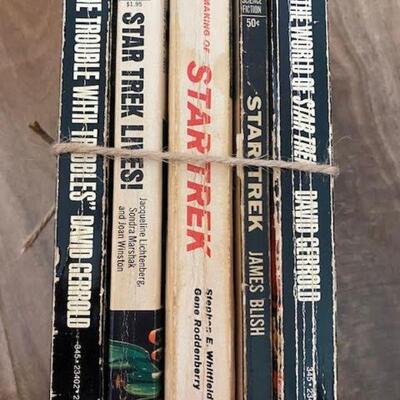 Bintage SI FI Star Trek Paperbacks