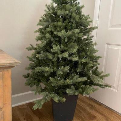 Lighted Christmans Tree