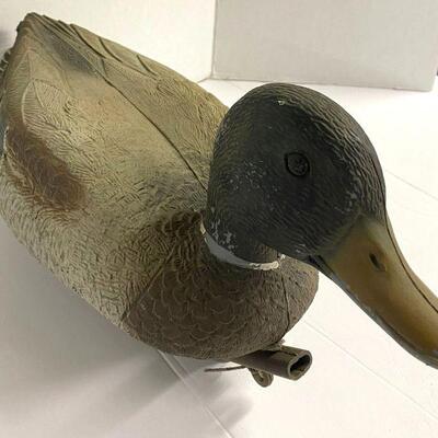 42. Mallard Decoy Plastic Cassy Lite Italy