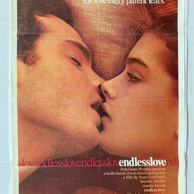 248. Original Movie Poster 1981 Endless Love