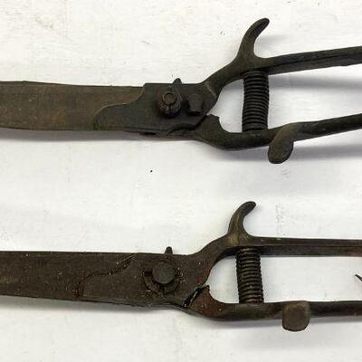 479. Lot of Vintage Iron Scissors/ Garden Tools 