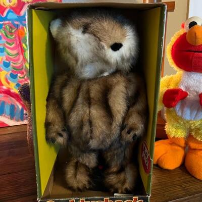 I'm alright, no body worry about me