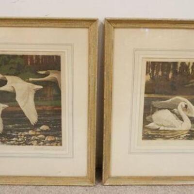 1067	2 FRAMED & MATTED SWAN PRINTS *THE RIVER SWANS* & *THE FEATHERS*, BOTH ARTIST SIGNED, APPROXIMATELY 21 1/2 IN X 22 1/2 IN OVERALL
