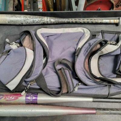 #2618 â€¢ Bats and Bags