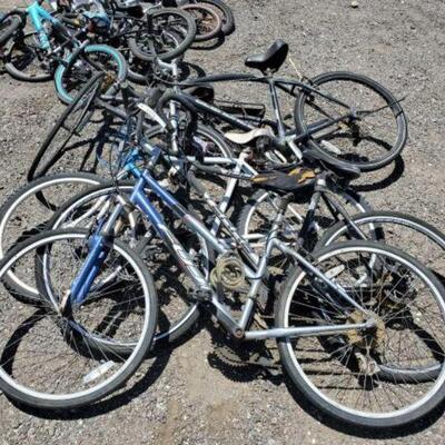 #44 â€¢ 5 Bicycles