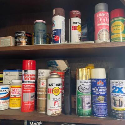 Assorted Paint
