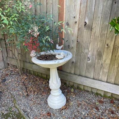 Cement Bird Bath