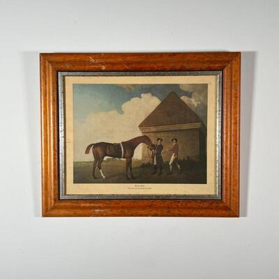 HORSE PRINT | Overall 14-1/2 x 17-1/2 in. (framed)