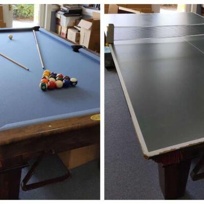 Pool/Ping Pong Table 