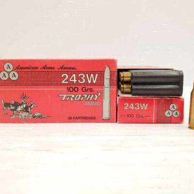 #800 • 60 Rounds of 243W