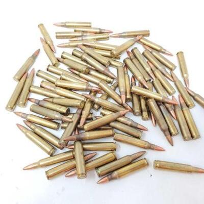 #830 â€¢ 76 .223 REM Rounds