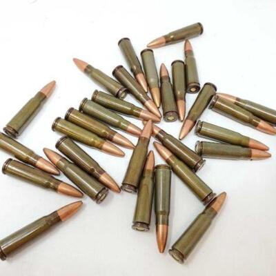 #844 â€¢ 29 Rounds of .223