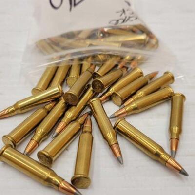 #876 â€¢ 45 Rounds of 17 WSM
