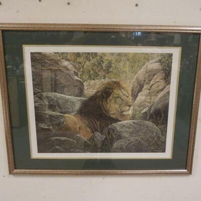 1321	LARGE FRAMED PRINT OF LION SIGNED SIMON COMBES, APPROXIMATELY 30 IN X 37 IN
