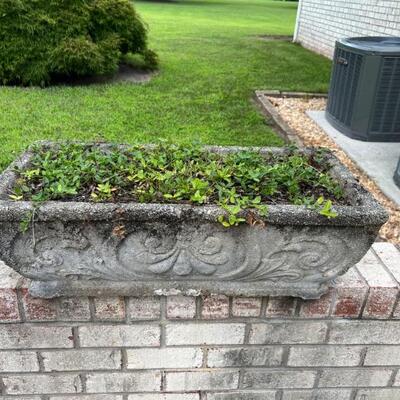 Concrete planter $125