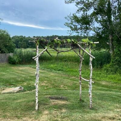 Birch limb trellis for WEDDINGS/CELEBRATIONS