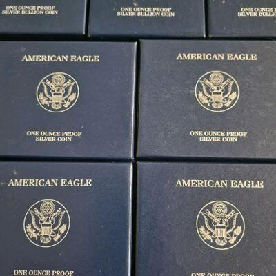 Silver Eagle Proof Coins