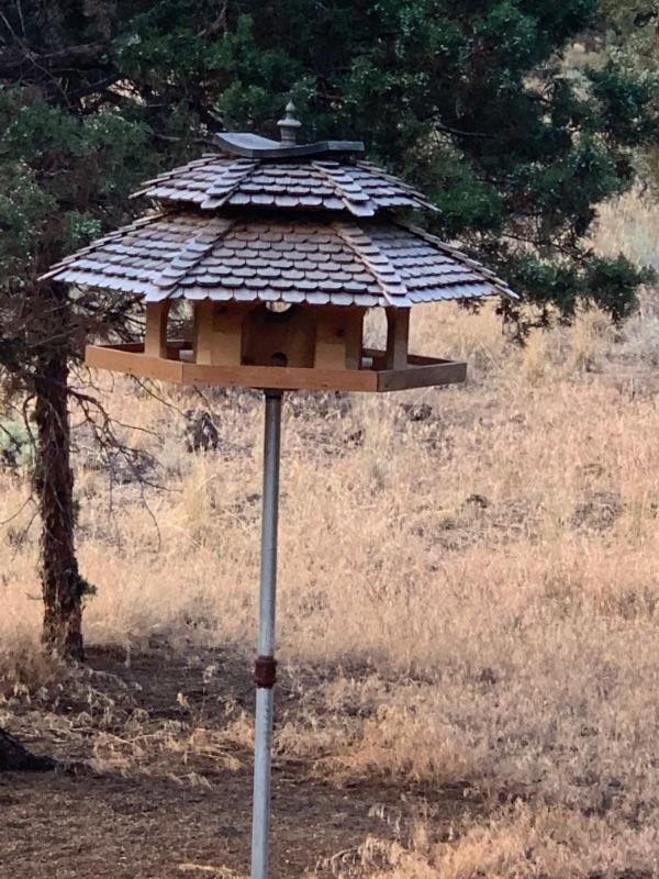 ESTATE SALE REDMOND 1/2 OFF UNDER 100 SAT 104