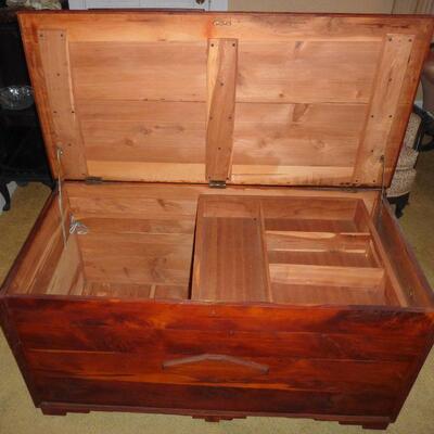 Interior of cedar trunk, rather large