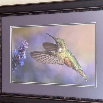 Purple Tones Framed Hummingbird Art-27.5inx21.5in