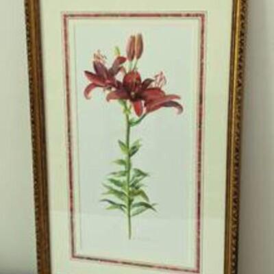 Framed Lily Watercolor by Louise C. Gillis. Beautiful piece measures 16.5â€ x 25â€.